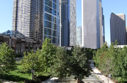 City views in the park