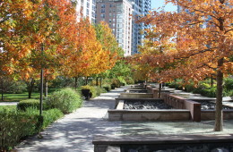 Fall in LSE Park