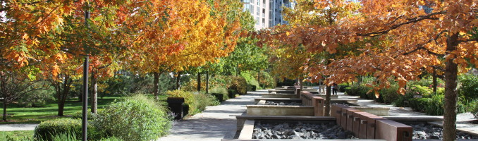Fall in LSE Park