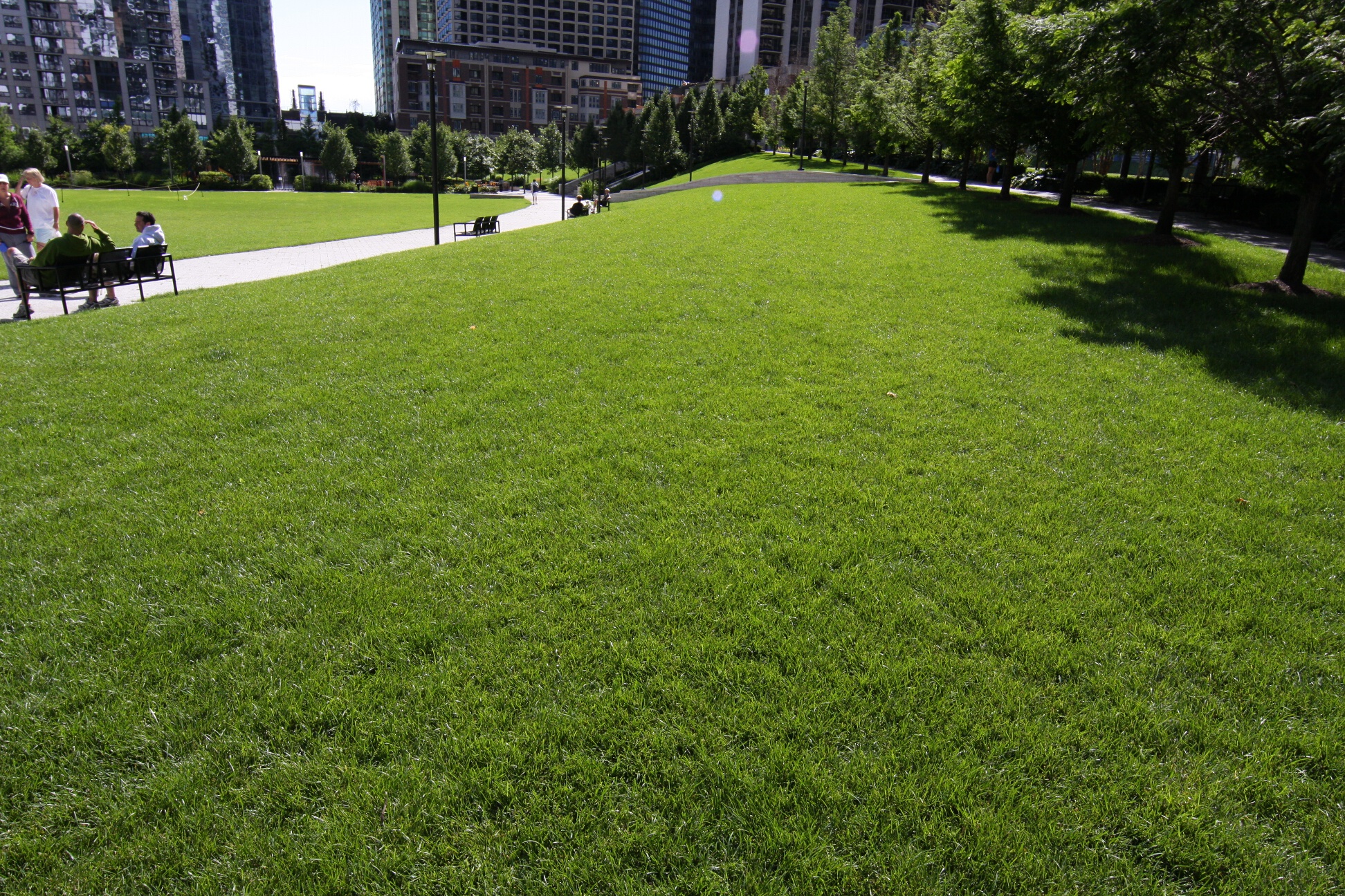 Grassy knolls in the park