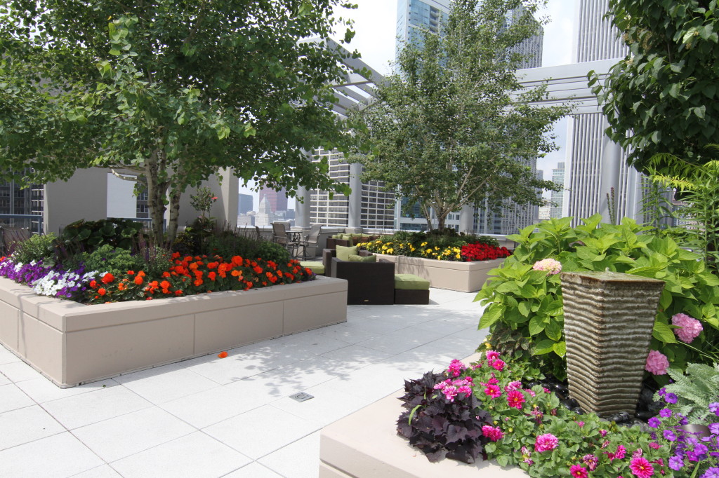 Rooftop trees & planters Lancaster Condominiums