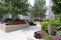 Rooftop trees & planters