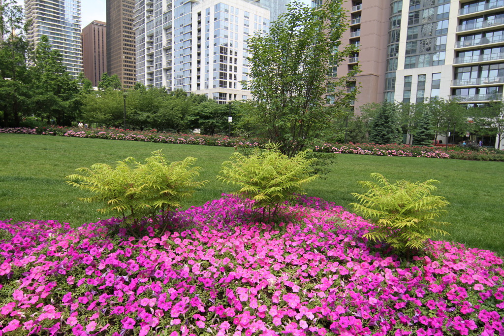 Image Gallery Lancaster Condominiums